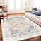 CHAMPLANT Washable Area Rug 5x7 for Living Room Retro Boho Chic Medallion Distressed Design Indoor NonSlip Large Oriental Accent Throw Rug for Kitchen Bedroom Office Carpet