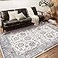 CHAMPLANT Washable Area Rug 5x7 Retro Boho Chic Medallion Distressed Design Living Room Indoor NonSlip Large Oriental Accent Throw Rug for Kitchen Bedroom Office Carpet