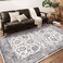 CHAMPLANT Washable Area Rug 5x7 Retro Boho Chic Medallion Distressed Design Living Room Indoor NonSlip Large Oriental Accent Throw Rug for Kitchen Bedroom Office Carpet