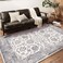 CHAMPLANT Washable Area Rug 5x7 Retro Boho Chic Medallion Distressed Design Living Room Indoor NonSlip Large Oriental Accent Throw Rug for Kitchen Bedroom Office Carpet