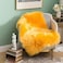 MIULEE Luxury Super Soft Fluffy Area Rug Faux Fur Rectangle Rug Decorative Plush Shaggy Carpet for Bedside Sofa Floor Nursery Fall Decor 2 x 3 Feet Orange Yellow