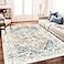 CHAMPLANT Retro Washable Area Rug 4X6 Washable Living Room Boho Chic Medallion Distressed DesignIndoor NonSlip Large Accent Throw Rug for Kitchen Bedroom Office Carpet
