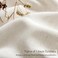 CUTEWIND Cream Linen Cafe Curtains 24 inch Length 2 Panel Set Rod Pocket Farmhouse Short Kitchen Window Curtains Over Sink Light Filtering Semi Sheer Small Window Drapes for Bathroom Camper W26xL24