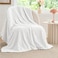 BEDELITE Fleece Throw Blanket for Couch Bed 3D Jacquard Decorative White Blanket Super Soft and Cozy Warm Fuzzy Blanket All Seasons Suitable 50x60Inches