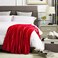 DREAMNINE Extra Soft Fuzzy Fleece Throw Blanket for Couch Sofa Chair 50 x 60 Decorative Solid Lightweight Fluffy Velvet BlanketsCozy Accent Shaggy Plush Warm Flannel Blanket for Winter BedroomRed