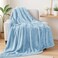 Exclusivo Mezcla Plush Fuzzy Fleece Throw Blanket Extra Large Super Soft Fluffy and Warm Blankets for Couch Bed All Season Light Blue 50x70 inches