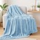 Exclusivo Mezcla Plush Fuzzy Fleece Throw Blanket Extra Large Super Soft Fluffy and Warm Blankets for Couch Bed All Season Light Blue 50x70 inches