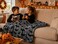 Serafina Home Halloween Throw Blanket Black Bats on Gray Velvet Soft Fleece Overized Large 70 x 50 for Sofa Bed Couch Chair Dorm