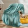 NEWCOSPLAY Super Soft Throw Blanket Light Teal Premium Silky Flannel Fleece Leaves Pattern Lightweight Bed Blanket All Season Use Light Teal Throw50x60