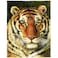 HommomH 60x80 Yellow Tiger Face Blanket Animal Art Painting Soft Fluffy Fleece Throw for Couch Sofa Bed