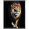 HommomH Lion Blanket Animal Print Soft Warm Fleece Throw for Couch Sofa Bed Black 60x80