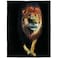 HommomH Lion Blanket Animal Print Soft Warm Fleece Throw for Couch Sofa Bed Black 60x80