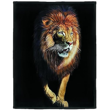 HommomH Lion Blanket Animal Print Soft Warm Fleece Throw for Couch Sofa Bed Black 60x80