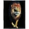 HommomH Lion Blanket Animal Print Soft Warm Fleece Throw for Couch Sofa Bed Black 60x80