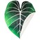 Green Philosophy Co Giant Leaf Blanket Philodendron Gloriosum Inspired Leaf Design Large Soft Warm Cozy Throw for Living Room Couch Sofa Bed Perfect for Plant Lovers