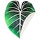 Green Philosophy Co Giant Leaf Blanket Philodendron Gloriosum Inspired Leaf Design Large Soft Warm Cozy Throw for Living Room Couch Sofa Bed Perfect for Plant Lovers