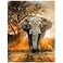 HommomH 60x80 Orange African Elephant Blanket Soft Fluffy Fleece Throw for Women