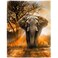 HommomH 60x80 Orange African Elephant Blanket Soft Fluffy Fleece Throw for Women
