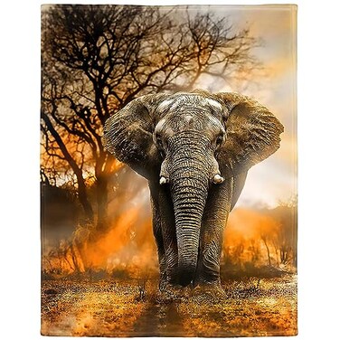 HommomH 60x80 Orange African Elephant Blanket Soft Fluffy Fleece Throw for Women