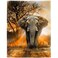 HommomH 60x80 Orange African Elephant Blanket Soft Fluffy Fleece Throw for Women