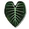 Green Philosophy Co Giant Leaf Blanket Regal Shield Inspired Leaf Design Large Soft Warm Cozy Throw for Living Room Couch Sofa Bed Perfect for Plant Lovers