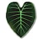 Green Philosophy Co Giant Leaf Blanket Regal Shield Inspired Leaf Design Large Soft Warm Cozy Throw for Living Room Couch Sofa Bed Perfect for Plant Lovers