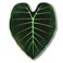 Green Philosophy Co Giant Leaf Blanket Regal Shield Inspired Leaf Design Large Soft Warm Cozy Throw for Living Room Couch Sofa Bed Perfect for Plant Lovers