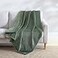 Eddie Bauer Blanket Super Soft Reversible Sherpa Brushed Fleece Bedding Throw Blankets for Couch Ideal for Lounging Ultra Lux Solid Green
