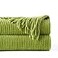 BATTILO HOME Apple Green Throw Blanket for Couch Soft Chenille Knit Throws with Tassels for Home Decor Spring Green Throws for Couch Cover 50x60