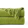 BATTILO HOME Apple Green Throw Blanket for Couch Soft Chenille Knit Throws with Tassels for Home Decor Spring Green Throws for Couch Cover 50x60