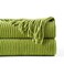 BATTILO HOME Apple Green Throw Blanket for Couch Soft Chenille Knit Throws with Tassels for Home Decor Spring Green Throws for Couch Cover 50x60
