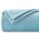 NEWCOSPLAY Super Soft Queen Blanket Light Blue Premium Silky Flannel Fleece Leaves Pattern Lightweight Bed Blanket All Season Use Light Blue Queen90x90