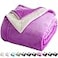 LBRO2M Sherpa Fleece Bed Blanket Twin Size Super Soft Fuzzy Plush Warm Cozy Fluffy Microfiber Couch Throw Velvet Double Reversible Luxurious BlanketsPurple