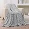 FY FIBER HOUSE Flannel Fleece Throw Microfiber Blanket with 3D Zebra Print50 by 60InchBlack