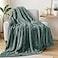Exclusivo Mezcla Plush Fuzzy Fleece Throw Blanket Extra Large Super Soft Fluffy and Warm Blankets for Couch Bed All Season Celadon 50x70 inches