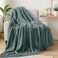 Exclusivo Mezcla Plush Fuzzy Fleece Throw Blanket Extra Large Super Soft Fluffy and Warm Blankets for Couch Bed All Season Celadon 50x70 inches