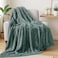 Exclusivo Mezcla Plush Fuzzy Fleece Throw Blanket Extra Large Super Soft Fluffy and Warm Blankets for Couch Bed All Season Celadon 50x70 inches
