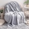 NTBAY Acrylic Knitted Throw Blanket Lightweight and Soft Cozy Decorative Woven Blanket with Tassels for Travel Couch Bed Sofa 51x67 Inches Light Grey Checkered