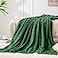 BEDELITE Fleece Throw Blanket for Couch 3D Ribbed Jacquard Soft and Warm Decorative Fuzzy Blanket Cozy Fluffy Plush Lightweight Green Throw Blankets for Bed Sofa 50x60 inches