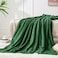 BEDELITE Fleece Throw Blanket for Couch 3D Ribbed Jacquard Soft and Warm Decorative Fuzzy Blanket Cozy Fluffy Plush Lightweight Green Throw Blankets for Bed Sofa 50x60 inches