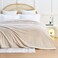 EXQ Home Fleece Blanket Queen Size for Bed or Couch 3D Imitation Turtle Shell Jacquard Decorative Blankets Cozy Soft Lightweight Fuzzy Flannel Blanket Suitable for All Seasons9090Beige