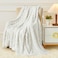 Aganear Flannel Throw Blanket Cozy Soft Lightweight Fuzzy Flannel Throw Blanket for Women Warm Decorative Present for All Seasons Portable Throw Blankets for Couch Sofa Bed Car50x60 White
