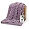 Bedsure GentleSoft Light Purple Fleece Blanket for Couch Cozy Soft Blankets for Women Cute Small Throws for Girls 50x70 Inches