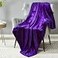 DREAMNINE Super Soft Fuzzy Fleece Throw Blanket for Couch Sofa 50 x 60Decorative Solid Lightweight Velvet Blanket for Chair Cozy Accent Shaggy Micro Plush Flannel Blankets for Bedroom Dorm Purple
