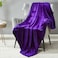 DREAMNINE Super Soft Fuzzy Fleece Throw Blanket for Couch Sofa 50 x 60Decorative Solid Lightweight Velvet Blanket for Chair Cozy Accent Shaggy Micro Plush Flannel Blankets for Bedroom Dorm Purple