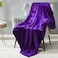 DREAMNINE Super Soft Fuzzy Fleece Throw Blanket for Couch Sofa 50 x 60Decorative Solid Lightweight Velvet Blanket for Chair Cozy Accent Shaggy Micro Plush Flannel Blankets for Bedroom Dorm Purple