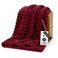 Bedsure GentleSoft Deep Red Fleece Blanket for Couch Cozy Soft Blankets for Women Cute Small Throws for Girls 60x80 Inches