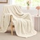 BEDELITE Fleece Blanket Twin for Bed Couch 3D Jacquard Decorative Cream Throw Soft Cozy Warm Plush Fuzzy 60x80Inches