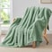 BEDELITE Fleece Green Throw Blanket for Couch 300GSM Soft Warm Fluffy Green Blanket Decorative and Giftable Striped Blankets for Women Men 50x60