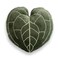 Green Philosophy Co Anthurium Leaf Pillow Soft 3D Plant Throw Pillow Khaki Green Decorative Leaf Pillow for Couch Bed for Plant Lovers